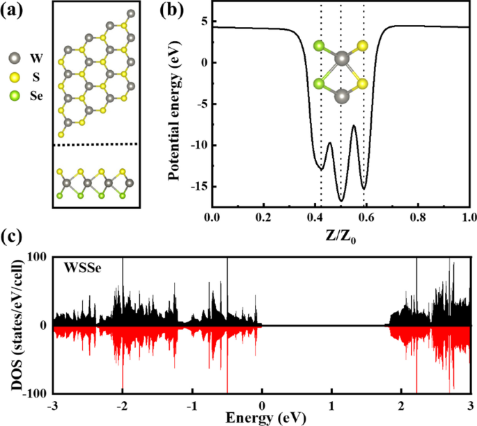 Tuning Magnetic Properties of Janus WSSe Monolayers via Transition Metal Adsorption