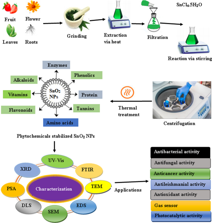 Eco‑Friendly, Cost‑Effective Synthesis of Tin Oxide Nanoparticles: A Comprehensive Review of Methods, Formation Mechanisms, and Applications