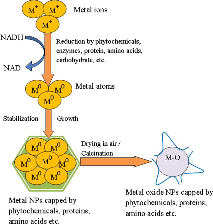 Eco‑Friendly, Cost‑Effective Synthesis of Tin Oxide Nanoparticles: A Comprehensive Review of Methods, Formation Mechanisms, and Applications