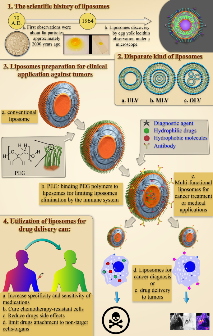 Liposomal Nanomedicine for Targeted Cancer Drug Delivery: Enhancing Efficacy and Safety