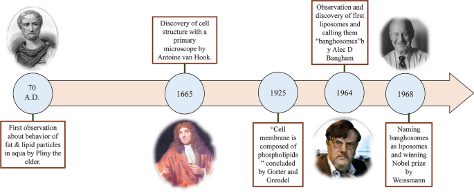 Liposomal Nanomedicine for Targeted Cancer Drug Delivery: Enhancing Efficacy and Safety