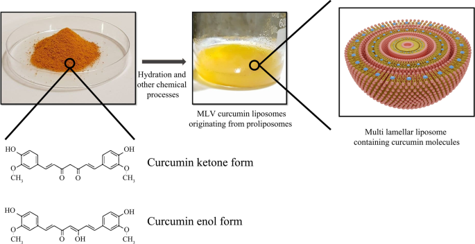 Liposomal Nanomedicine for Targeted Cancer Drug Delivery: Enhancing Efficacy and Safety