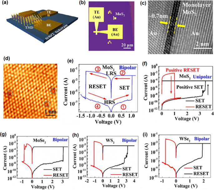 Mastering 2D Semiconductor Nanomaterials: Precision Synthesis & Breakthrough Applications