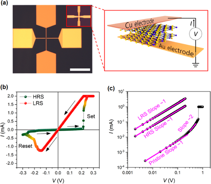 Mastering 2D Semiconductor Nanomaterials: Precision Synthesis & Breakthrough Applications