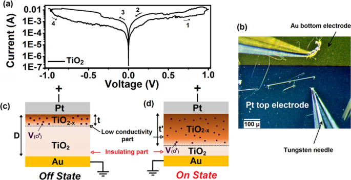 Mastering 2D Semiconductor Nanomaterials: Precision Synthesis & Breakthrough Applications