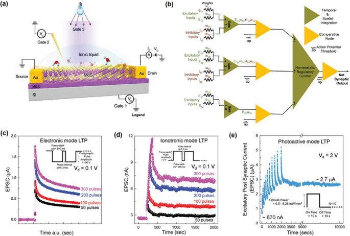 Mastering 2D Semiconductor Nanomaterials: Precision Synthesis & Breakthrough Applications