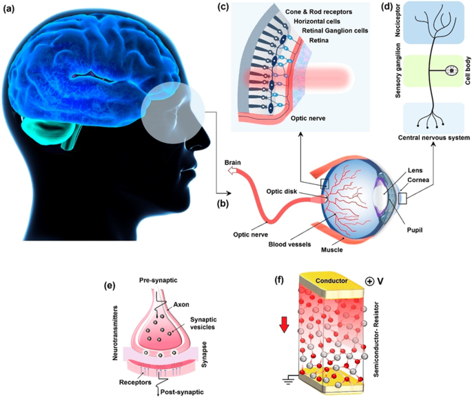 Mastering 2D Semiconductor Nanomaterials: Precision Synthesis & Breakthrough Applications