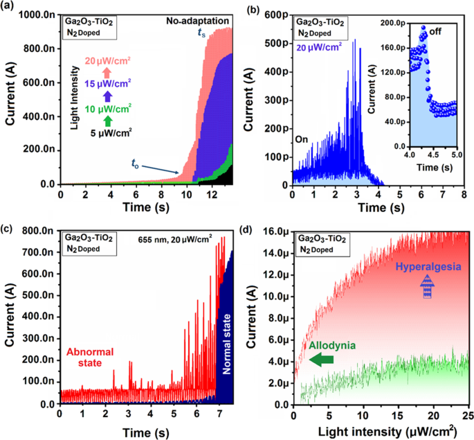 Mastering 2D Semiconductor Nanomaterials: Precision Synthesis & Breakthrough Applications