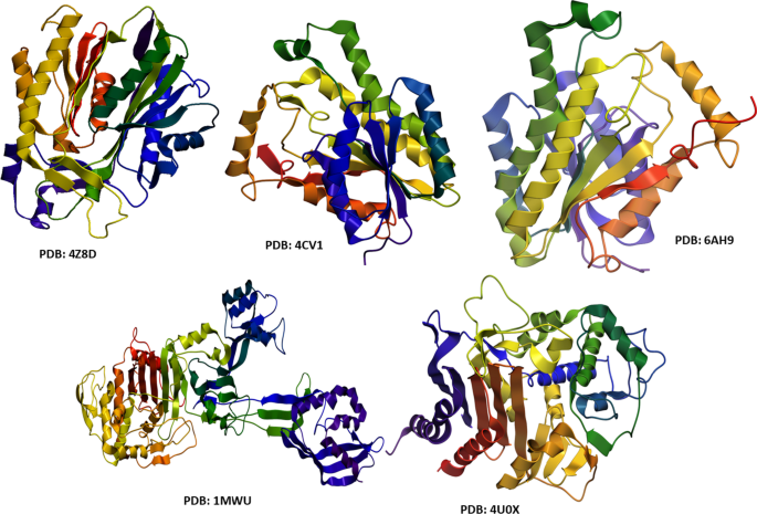 Cu:Ag Bimetallic Nanoparticles: Enhanced Antibacterial Efficacy Against Antibiotic-Resistant Strains – A Molecular Docking Study