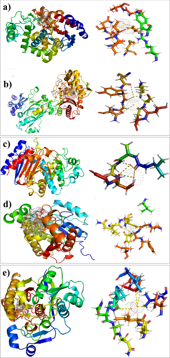 Cu:Ag Bimetallic Nanoparticles: Enhanced Antibacterial Efficacy Against Antibiotic-Resistant Strains – A Molecular Docking Study