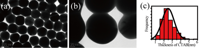 Plasmon‑Enhanced Fluorescence of Rhodamine 6G at Controlled Distances from Gold Nanoparticles