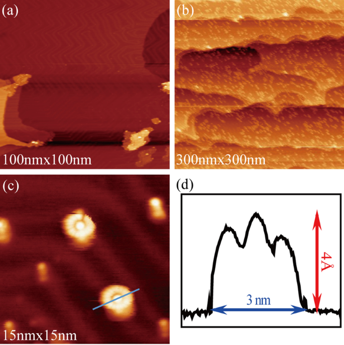 Plasmon‑Enhanced Fluorescence of Rhodamine 6G at Controlled Distances from Gold Nanoparticles