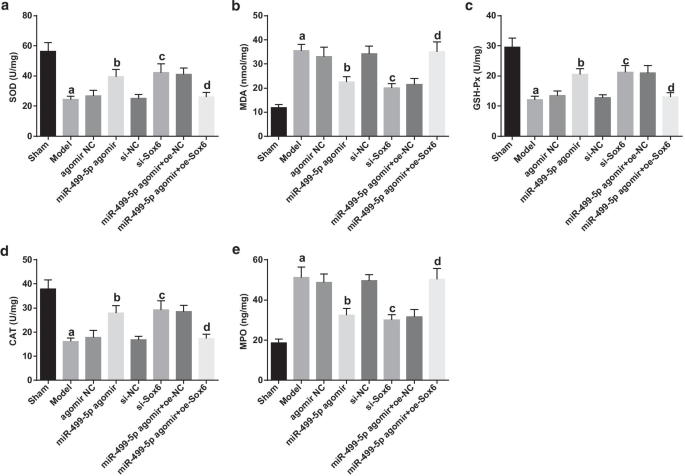 MicroRNA‑499‑5p Restores Lung Function in Sepsis‑Induced Injury by Targeting Sox6