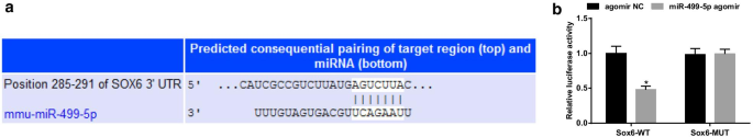 MicroRNA‑499‑5p Restores Lung Function in Sepsis‑Induced Injury by Targeting Sox6