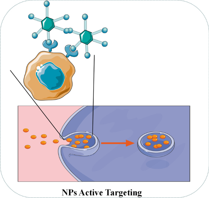 Nanoparticles: Transforming Cancer Diagnosis and Treatment with Precision