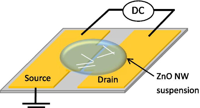 Efficient Fabrication of ZnO Nanowire Rectifiers via DC Dielectrophoresis Alignment Across Au Electrodes