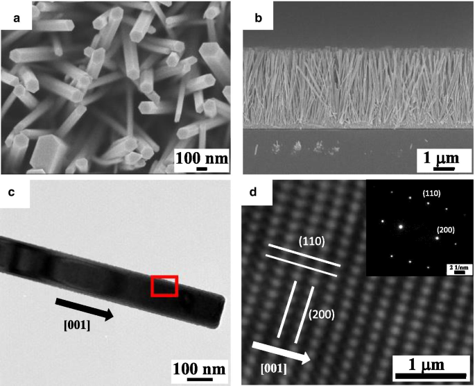 Efficient Fabrication of ZnO Nanowire Rectifiers via DC Dielectrophoresis Alignment Across Au Electrodes