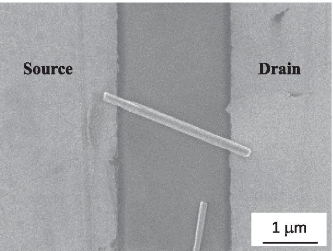 Efficient Fabrication of ZnO Nanowire Rectifiers via DC Dielectrophoresis Alignment Across Au Electrodes