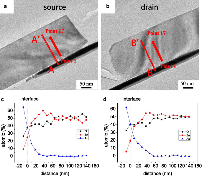 Efficient Fabrication of ZnO Nanowire Rectifiers via DC Dielectrophoresis Alignment Across Au Electrodes