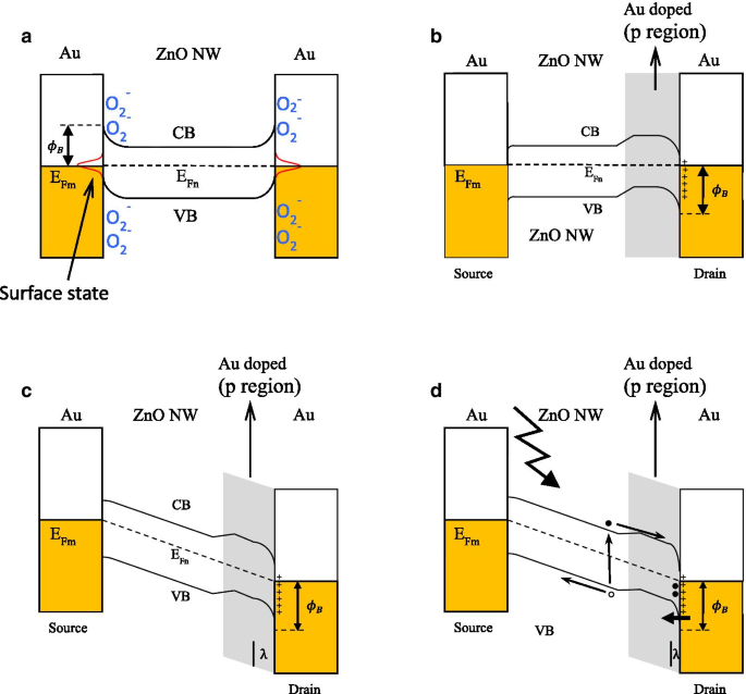 Efficient Fabrication of ZnO Nanowire Rectifiers via DC Dielectrophoresis Alignment Across Au Electrodes