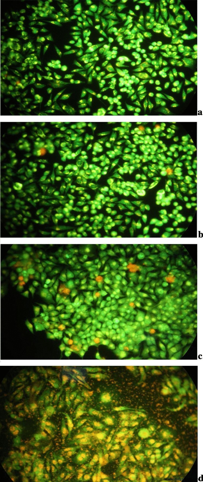 Taurine-Functionalized Graphene Oxide for 5‑Fluorouracil Delivery: Fabrication, Characterization & Anticancer Efficacy