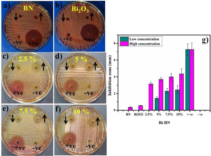 Bismuth‑Doped Boron Nitride Nanosheets: Enhanced Electronic and Optical Performance from Theory and Experiment