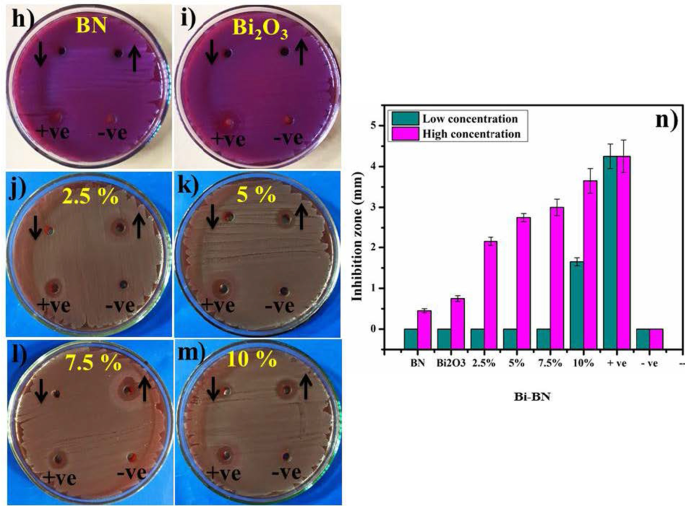 Bismuth‑Doped Boron Nitride Nanosheets: Enhanced Electronic and Optical Performance from Theory and Experiment