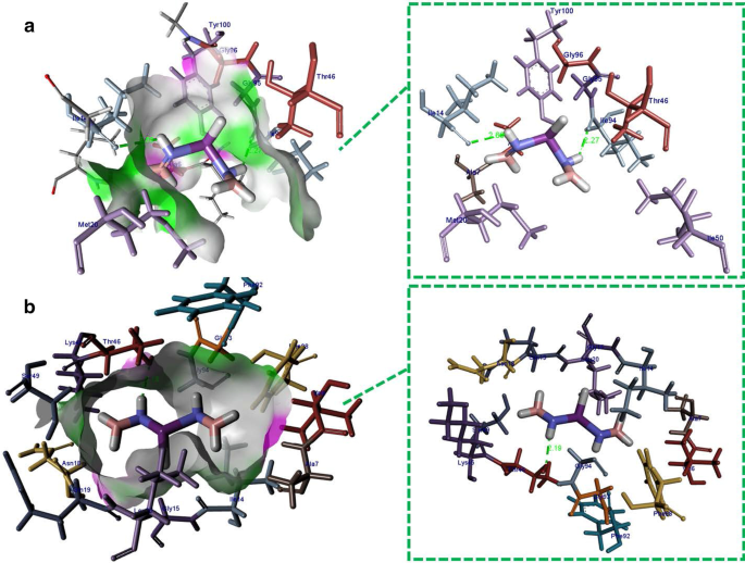 Bismuth‑Doped Boron Nitride Nanosheets: Enhanced Electronic and Optical Performance from Theory and Experiment