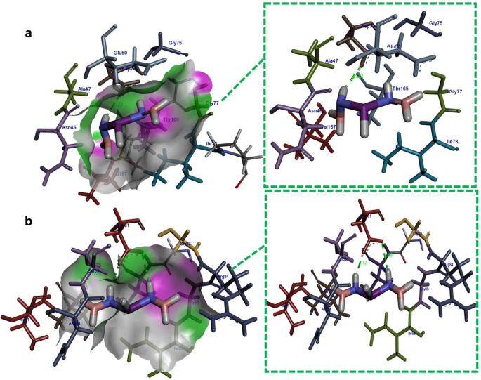 Bismuth‑Doped Boron Nitride Nanosheets: Enhanced Electronic and Optical Performance from Theory and Experiment