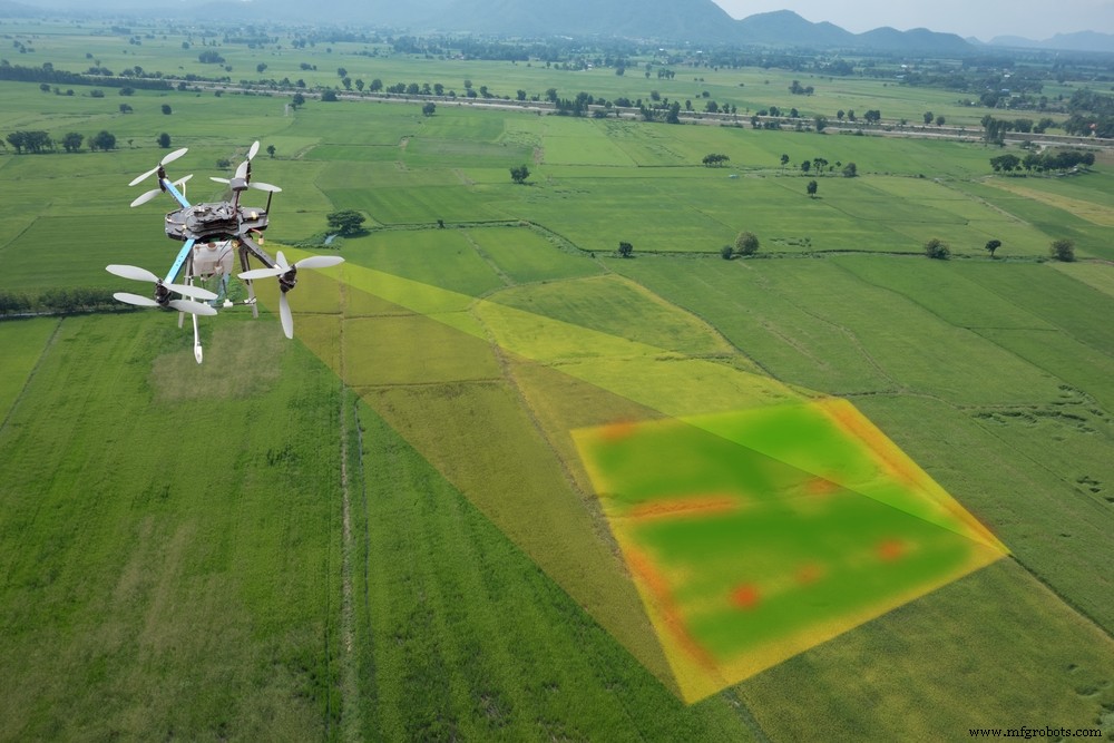 Revolutionizing Agriculture: How Intelligent Robots Transform Farming Worldwide