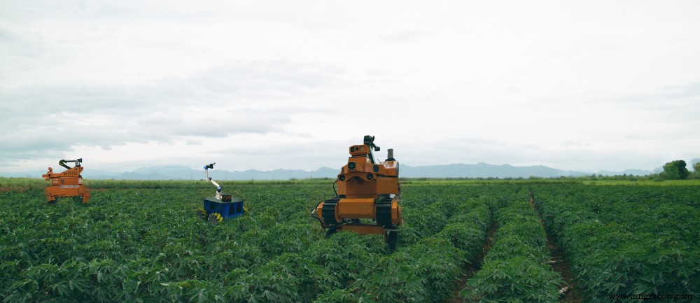 Revolutionizing Agriculture: How Intelligent Robots Transform Farming Worldwide