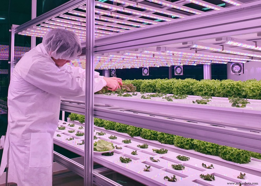 Revolutionizing Agriculture: How Intelligent Robots Transform Farming Worldwide
