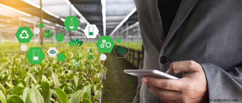 How IoT Revolutionizes Agriculture: Key Benefits & Smart Farming Insights