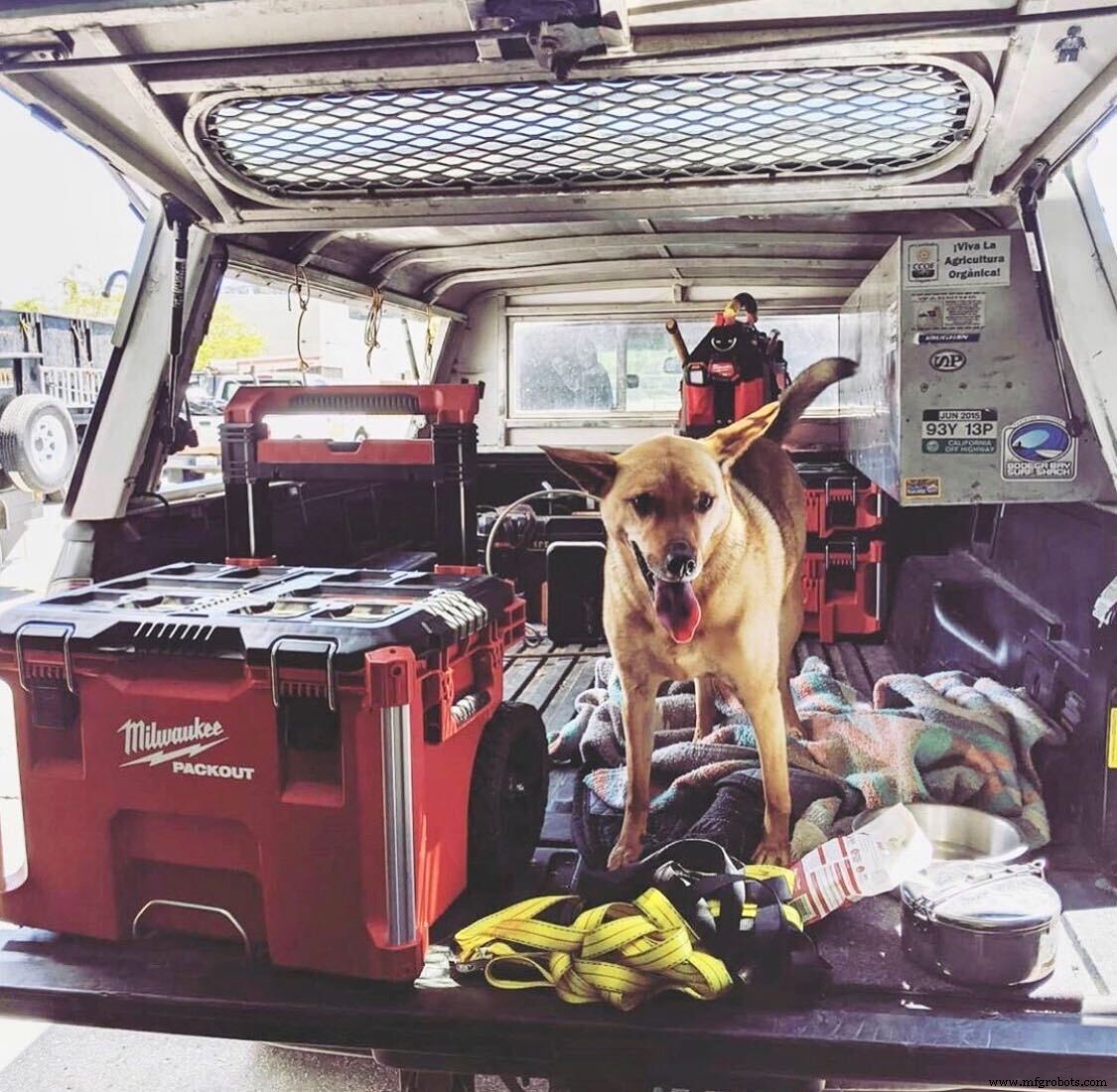 Meet Thomas s Furry Friends: Your Manufacturing Allies