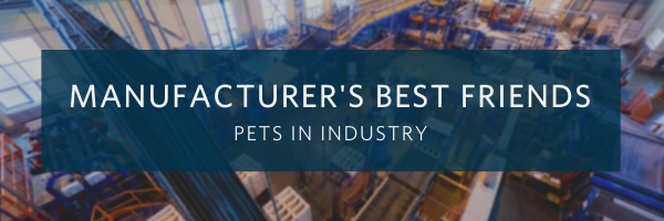 Meet Thomas s Furry Friends: Your Manufacturing Allies