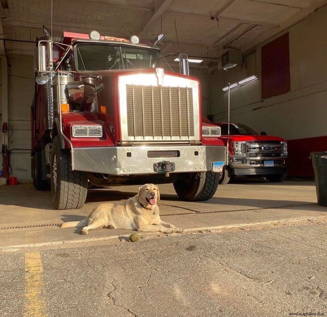 Meet Thomas s Furry Friends: Your Manufacturing Allies