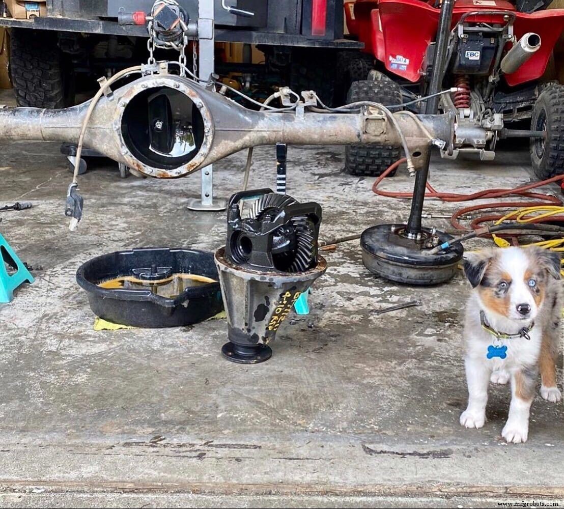 Meet Thomas s Furry Friends: Your Manufacturing Allies