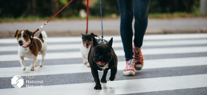Doggie Walk Bags: How Smart Marketing Boosts Sales & Protects Jobs