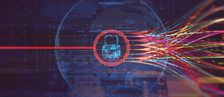 How Proper Care Turns Abandoned Baby Squirrels into Happy Pets