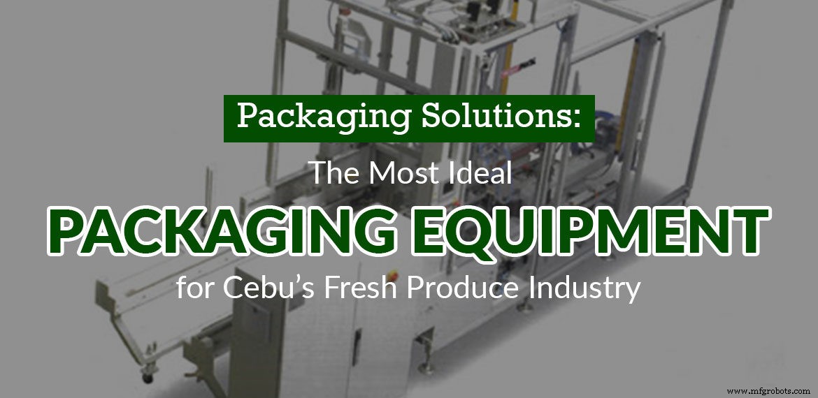 Premium Packaging Solutions for Cebu’s Fresh Produce Industry: Efficiency, Cost Savings, and Quality Assurance