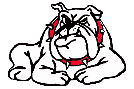 Understanding the Watchdog Timer: How It Prevents Microcontroller Hang-Ups