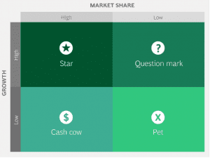 Harness the Voice of Customer to Align with Needs and Drive Business Growth