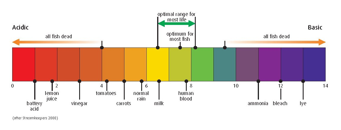 IoT & AI-Driven Water Quality Monitoring Protects Aquatic Life