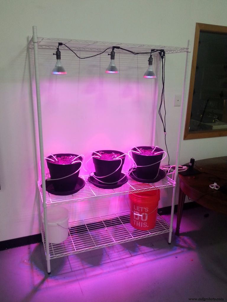 Arduino-Powered Automatic Plant Watering System