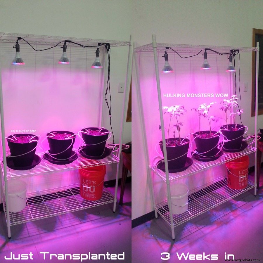 Arduino-Powered Automatic Plant Watering System