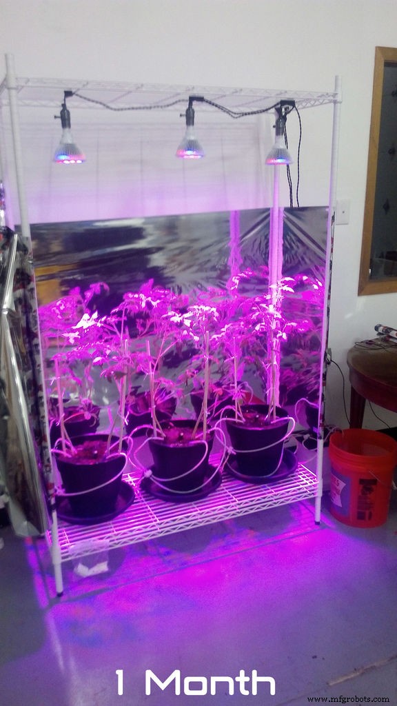 Arduino-Powered Automatic Plant Watering System