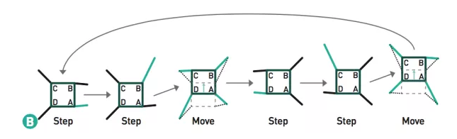 Build a Smart Arduino Quadruped Robot: Step‑by‑Step Guide