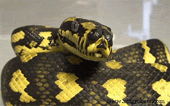 Build an Arduino-Powered Automated Google Chrome Dino Game