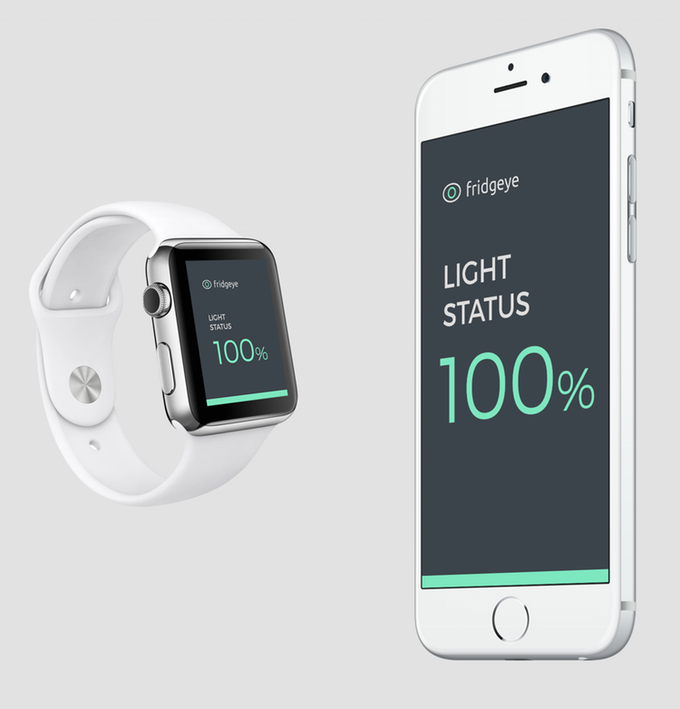 Build the Fridgeye App Using a Nextion Display: Step‑by‑Step Guide
