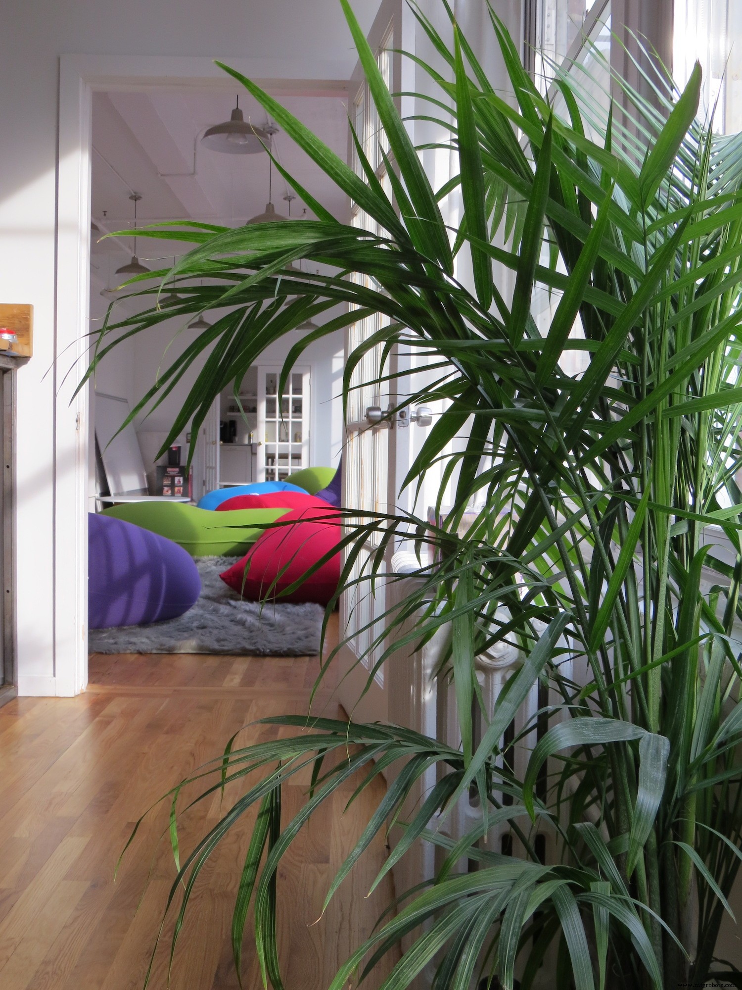 Automated Office Plant Watering System with Arduino, WiFi & IFTTT